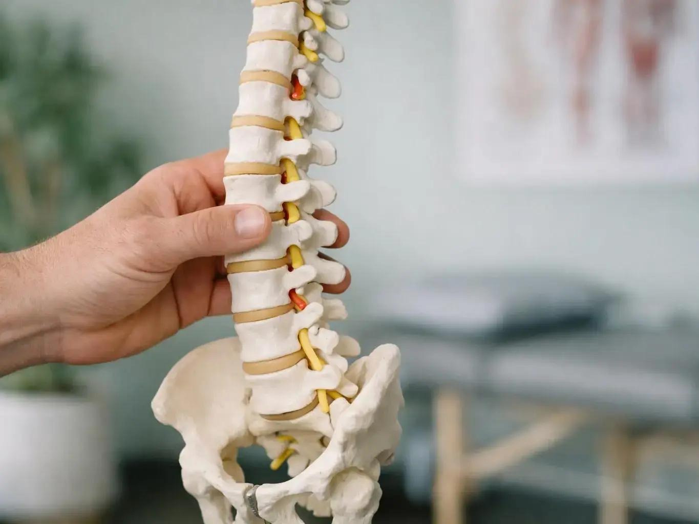 Slip & Fall Injury Treatment in White House, TN — detail